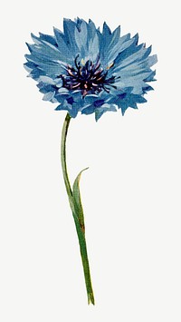 Blue flower collage element psd