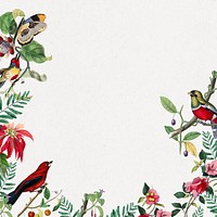 Tropical birds border background, botanical white design