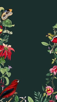 Tropical bird border iPhone wallpaper, black design