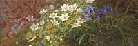 Vintage anemone flowers background, painting by Anthonie Christensen. Remixed by rawpixel.