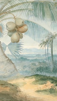 Coconut tree landscape iPhone wallpaper, vintage nature illustration by Samuel Daniell. Remixed by rawpixel.