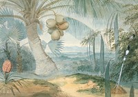 Coconut tree landscape background, vintage nature illustration by Samuel Daniell. Remixed by rawpixel.