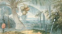 Coconut tree landscape desktop wallpaper, vintage nature illustration by Samuel Daniell. Remixed by rawpixel.
