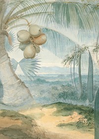 Coconut tree landscape background, vintage nature illustration by Samuel Daniell. Remixed by rawpixel.