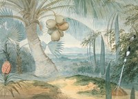 Coconut tree landscape background, vintage nature illustration by Samuel Daniell. Remixed by rawpixel.