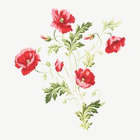 Pink vintage flowers, botanical illustration. Remixed by rawpixel.