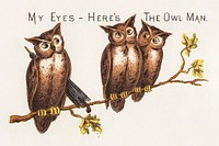 My eyes - here's the owl man (1882), vintage chromolithograph. Original public domain image from Digital Commonwealth. Digitally enhanced by rawpixel.