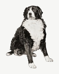 Bernese Mountain dog, vintage animal illustration psd. Remixed by rawpixel.