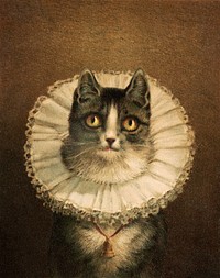 The widow (1861–1897), vintage cat portrait illustration by L. Prang & Co. Original public domain image from Digital Commonwealth. Digitally enhanced by rawpixel.