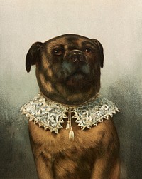 Uncle Toby (1861–1897), vintage dog portrait illustration by L. Prang & Co. Original public domain image from Digital Commonwealth. Digitally enhanced by rawpixel.