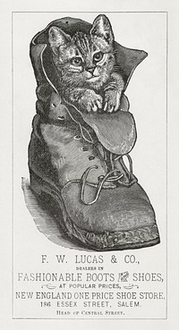 F. W. Lucas & Co., dealers in fashionable boots and shoes at popular prices, New England one price shoe store, 186 Essex Street, Salem (1870–1900), vintage cat illustration. Original public domain image from Digital Commonwealth. Digitally enhanced by rawpixel.