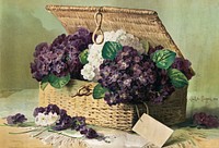 Invoice of violets (1895), vintage chromolithograph by Paul de Longpré. Original public domain image from Digital Commonwealth. Digitally enhanced by rawpixel.