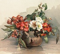 Two florals on one sheet (1861–1897), vintage flower illustration by Annie C. Nowell. Original public domain image from Digital Commonwealth. Digitally enhanced by rawpixel.