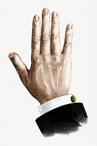 Businessman's hand, vintage gesture illustration. Remixed by rawpixel.