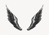 Angel's wings, vintage illustration. Remixed by rawpixel.