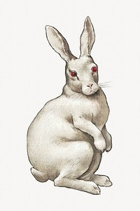 Rabbit, vintage animal illustration. Remixed by rawpixel.