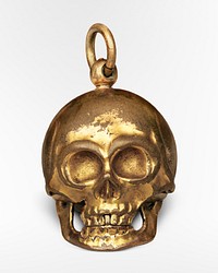 Gold skull, vintage object illustration