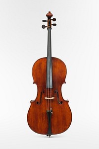 Violincello (mid-19th century), musical instrument by Jean Baptiste Vuillaume. Original public domain image from The MET Museum. Digitally enhanced by rawpixel.