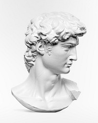 Michelangelo Buonarroti's David statue's head (1475–1564). Original public domain image from State Museum of Art. Digitally enhanced by rawpixel.