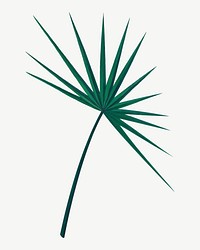 Vintage fan palm leaf psd. Remixed by rawpixel. 