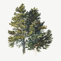 Vintage tree illustration psd. Remixed by rawpixel. 