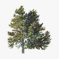 Vintage tree illustration. Remixed by rawpixel. 