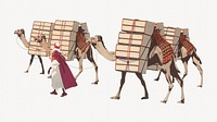 Vintage camel transport illustration. Remixed by rawpixel. 