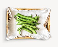 Broad beans image on white