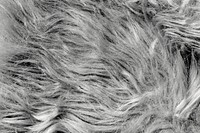 Gray fur texture background