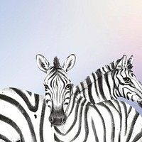 Cute zebra background, paper texture design