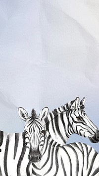 Cute zebra iPhone wallpaper, paper texture design