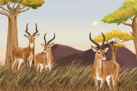 African animals background, drawing design