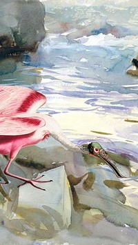 Spoonbill iPhone wallpaper, aesthetic drawing river design