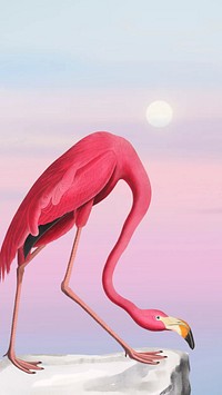 Flamingo iPhone wallpaper, gradient sky design