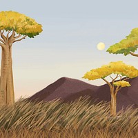 Baobab tree background, evening sky design