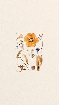 Autumn flower aesthetic iPhone wallpaper, botanical background
