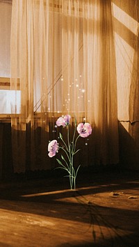 Golden hour flower phone wallpaper, wooden room aesthetic