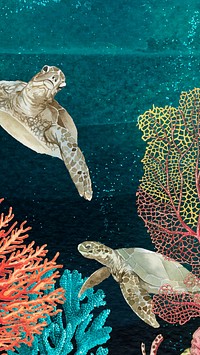 Sea turtles iPhone wallpaper, aesthetic ocean background