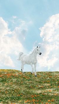 Horse aesthetic iPhone wallpaper, dreamy grass field background