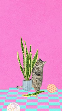 Cat ruining houseplant iPhone wallpaper, funny pet background