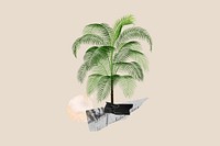 Aesthetic tropical tree background