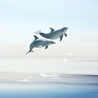 Swimming dolphins background, surreal sky