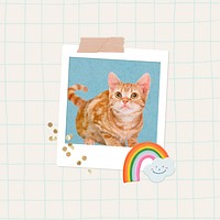 Cute ginger cat background, pet animal remix