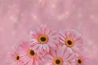 Pink daisy aesthetic background, flower border