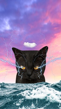 Grumpy cat iPhone wallpaper, surreal ocean background