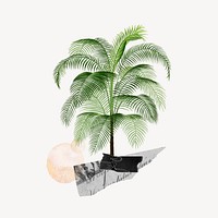 Tropical tree, aesthetic remix design 