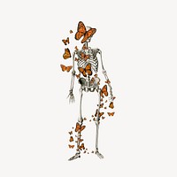 Skeleton & butterfly collage element, Halloween design