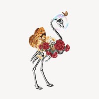 Surreal bird skeleton, flower collage element