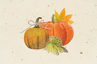 Aesthetic Autumn pumpkin, botanical collage