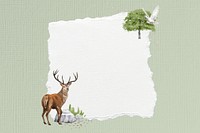 Ripped paper, stag deer wildlife illustration